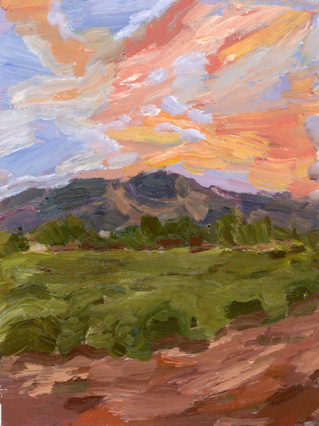 Sunset Fields